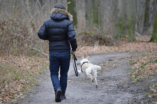 A person walking their dog.